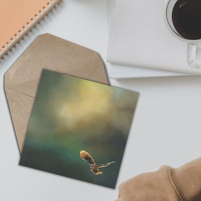 Tawny Owl Greetings Card