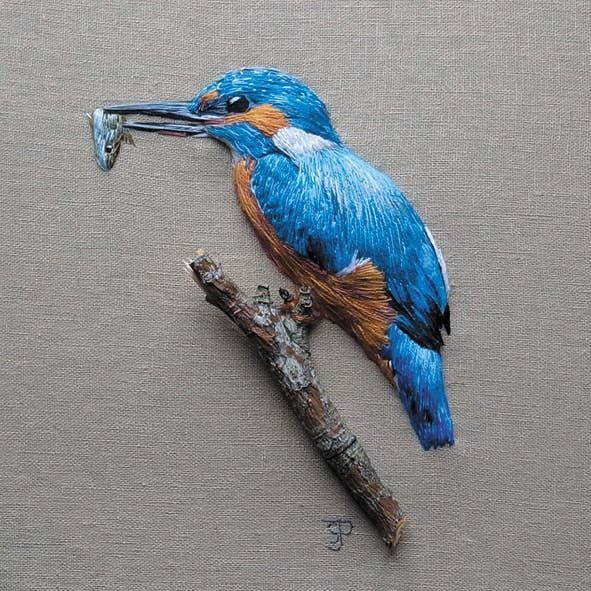 Kingfisher mini card