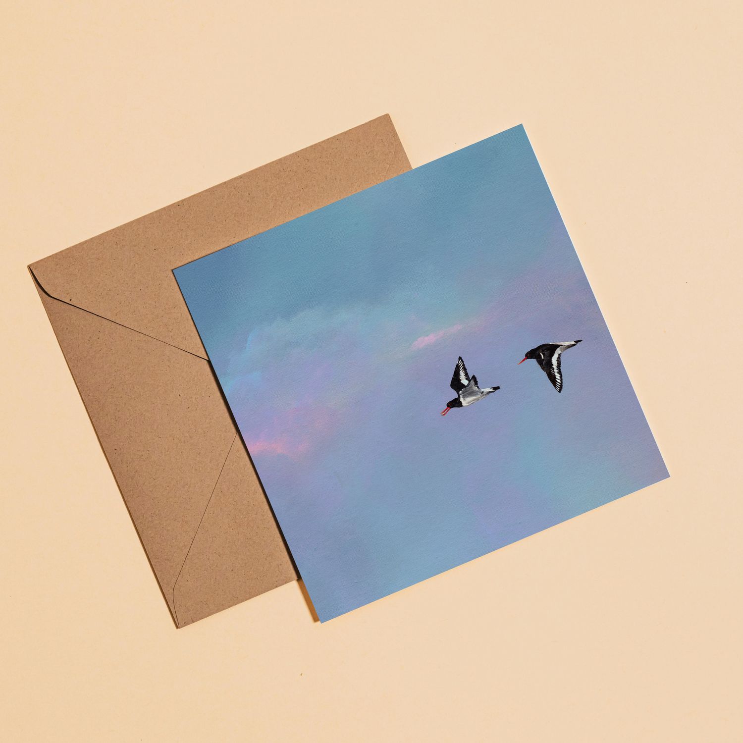 Oyster Catchers
