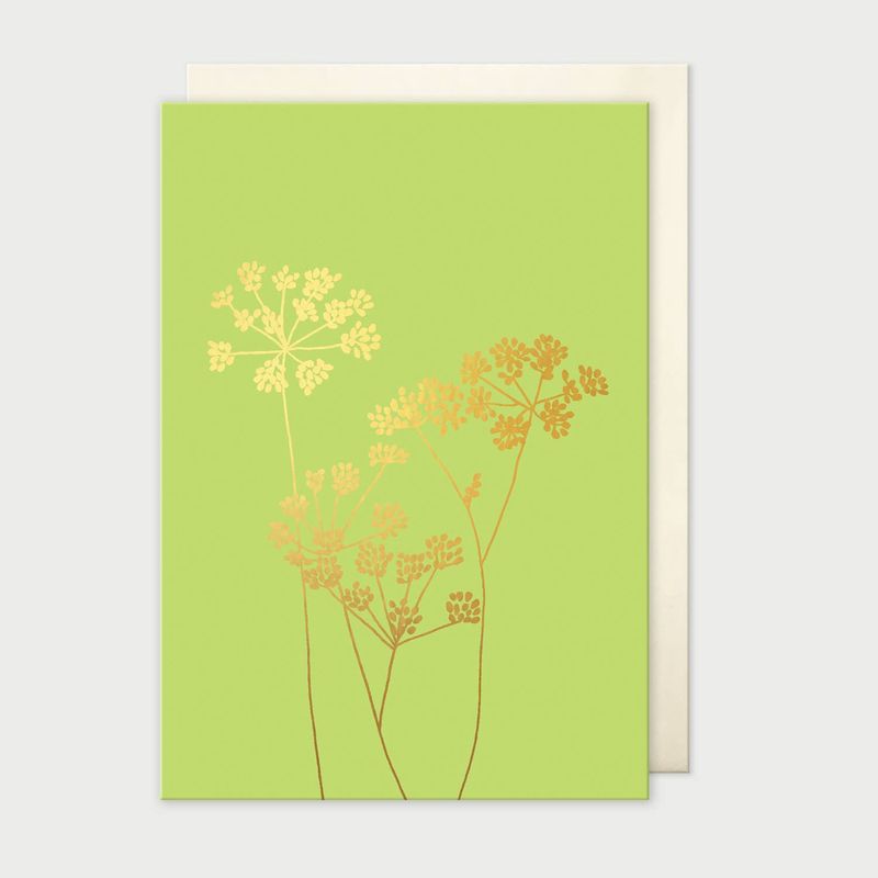 Fennel