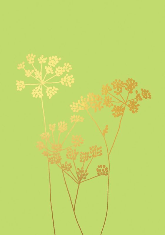 Fennel