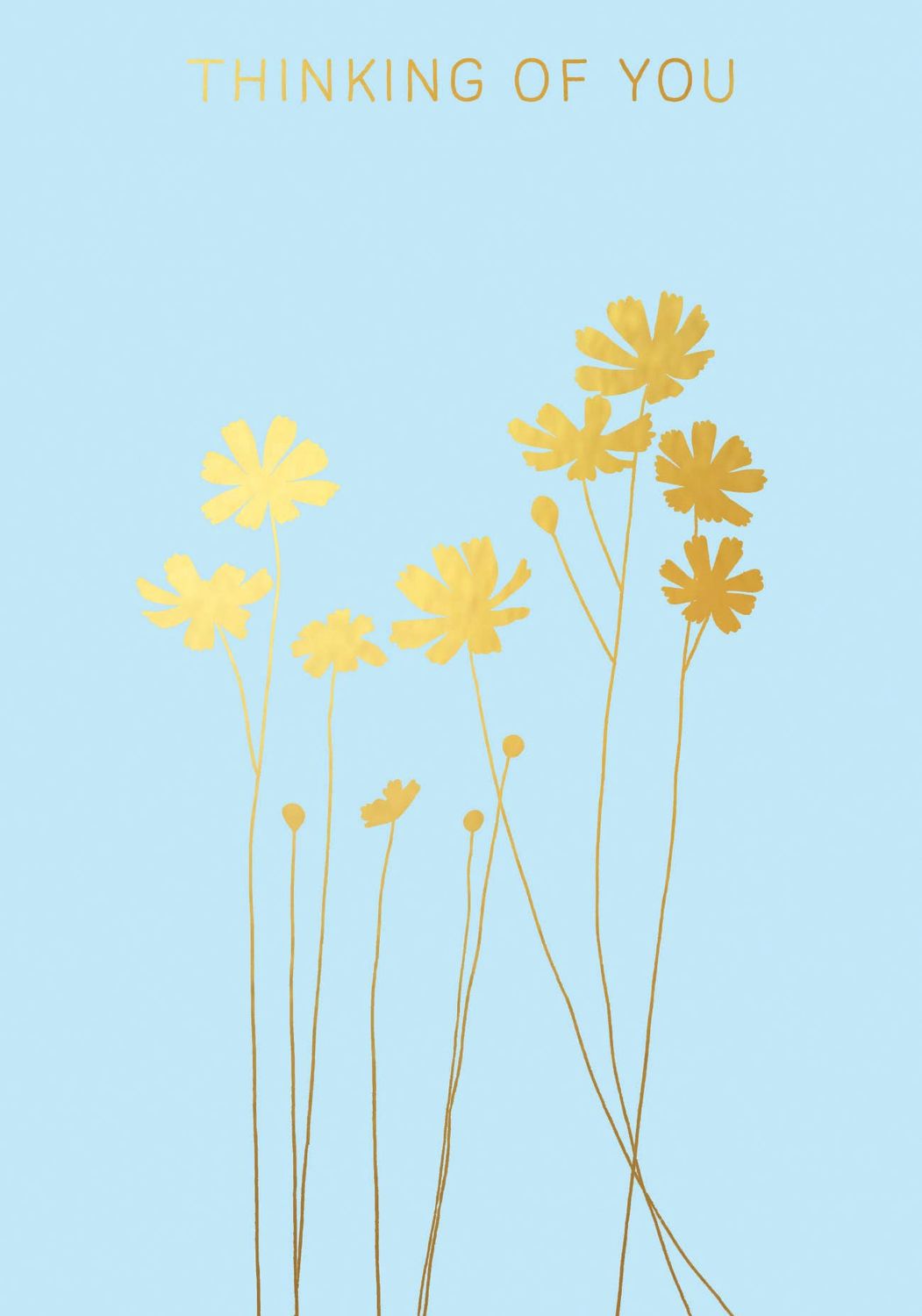Cosmos Thinking of You