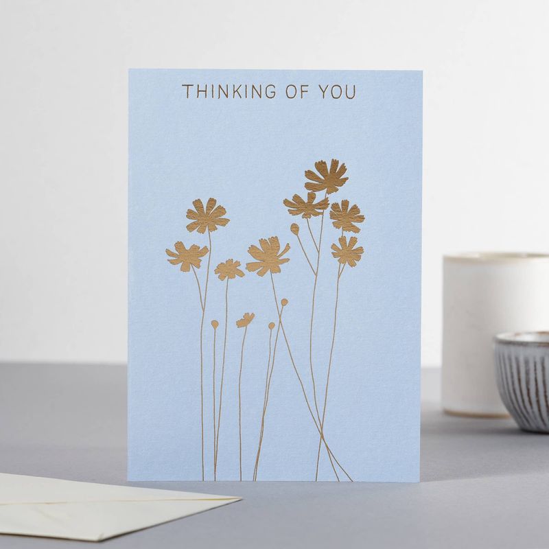 Cosmos Thinking of You