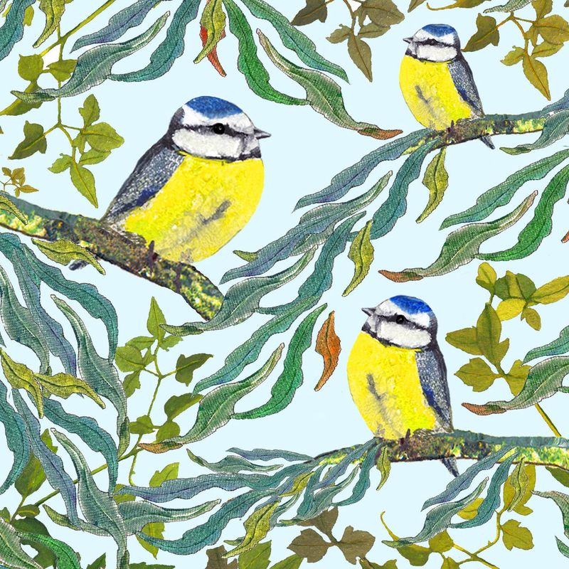 Blue Tits in Branches