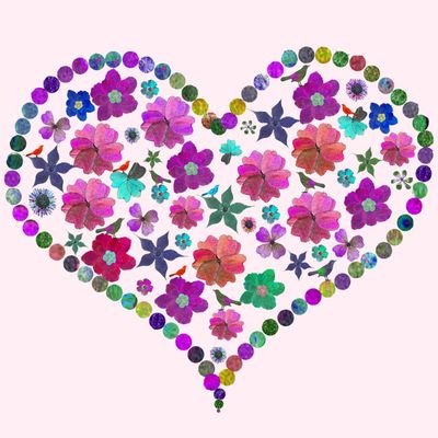 Bird Heart Pink