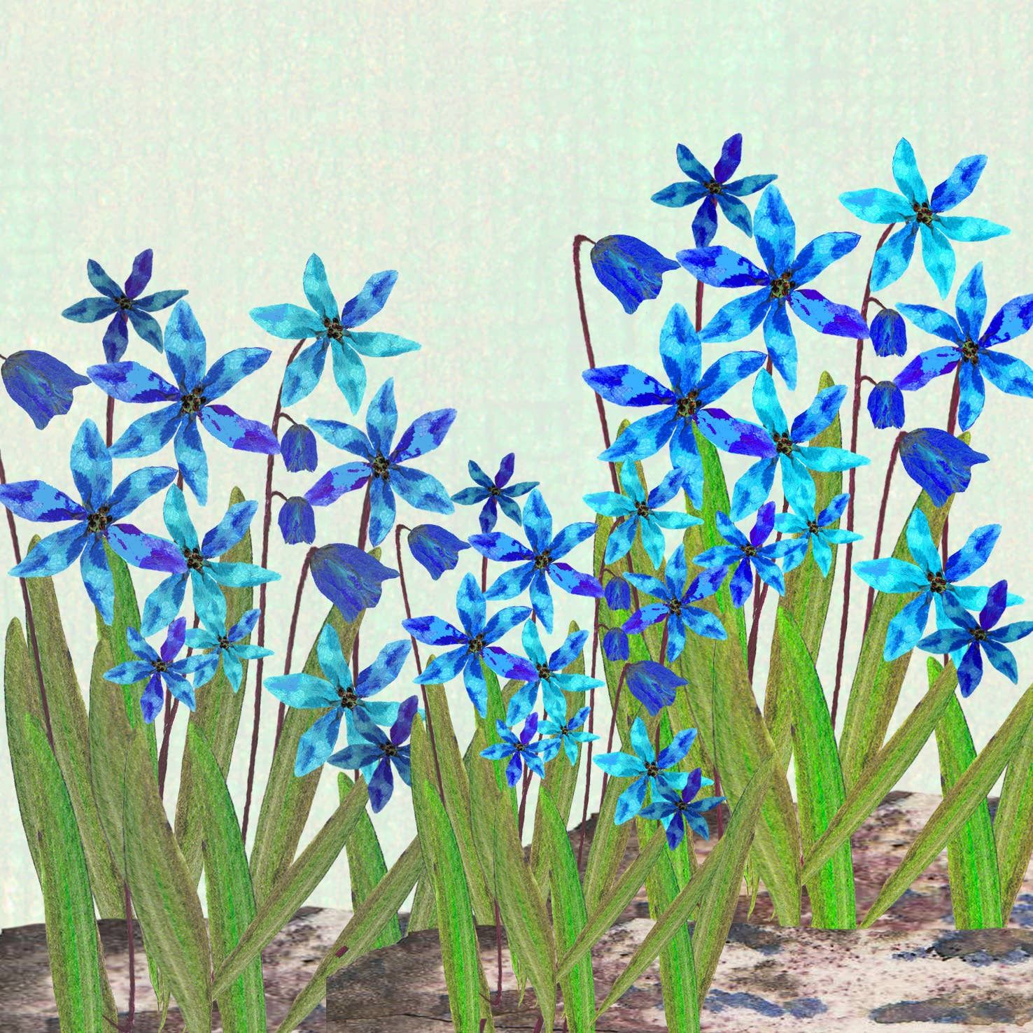 Scilla Spring, Size: Small - 125mm x 125mm