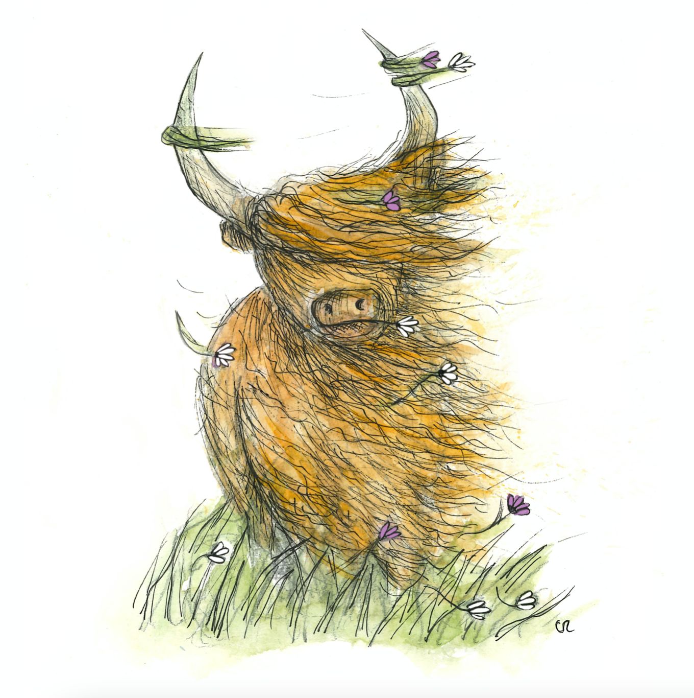 Windy Highland Cow Greetings Card