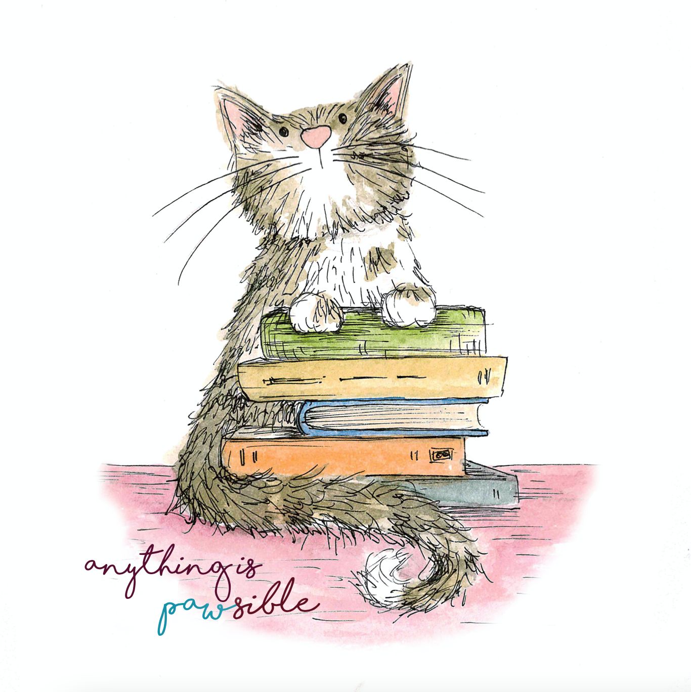 Anything is Pawsible Book Cat Pun Greetings Card