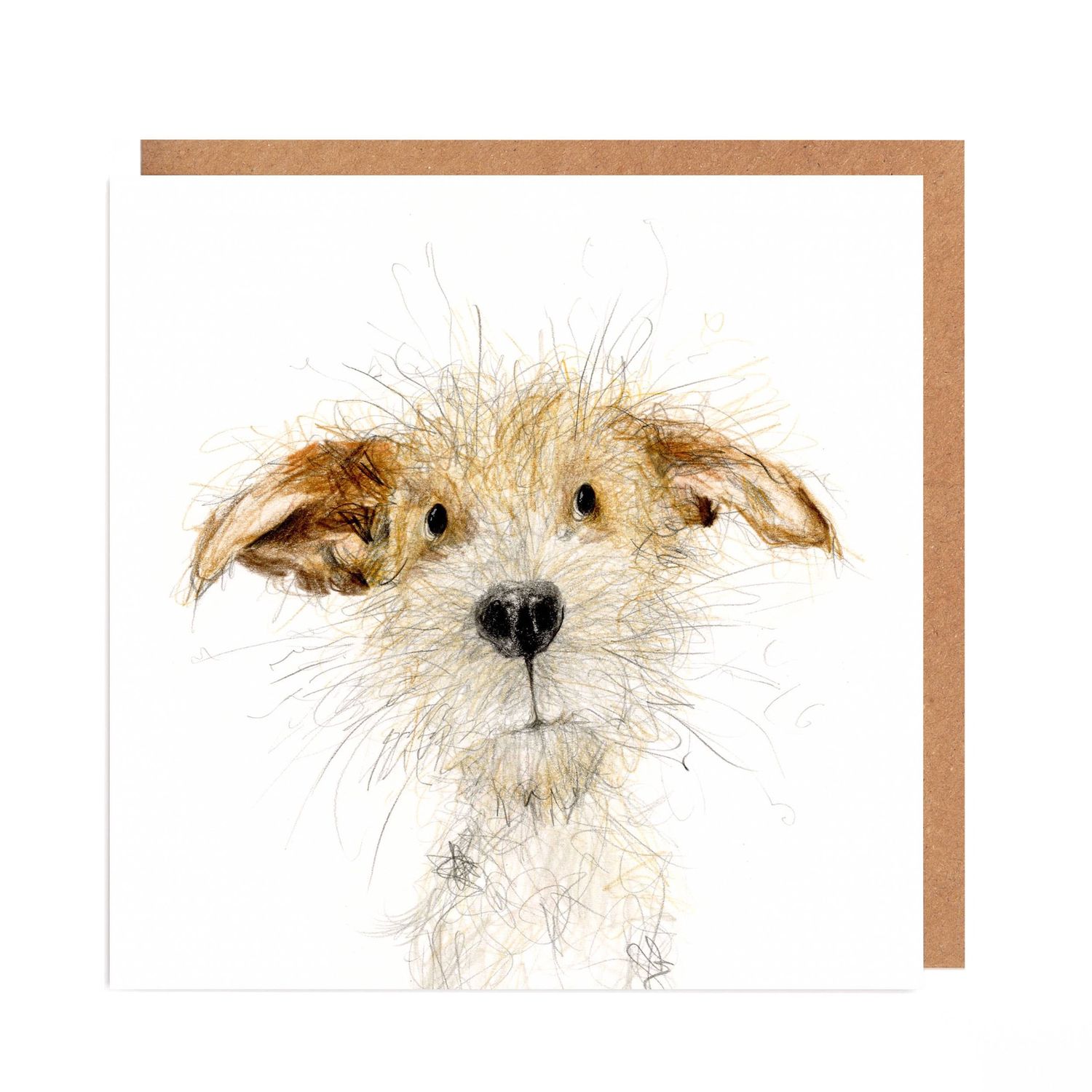 Jack Russel card