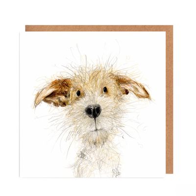 Jack Russel card