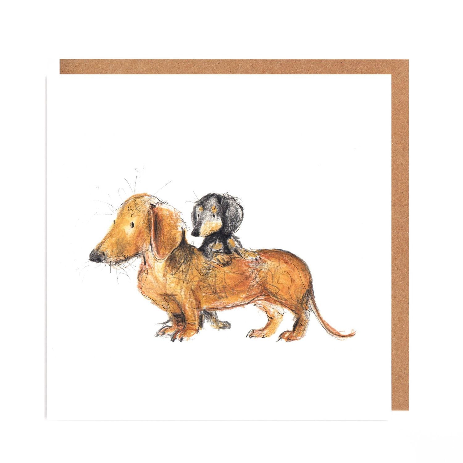 Dachshund card