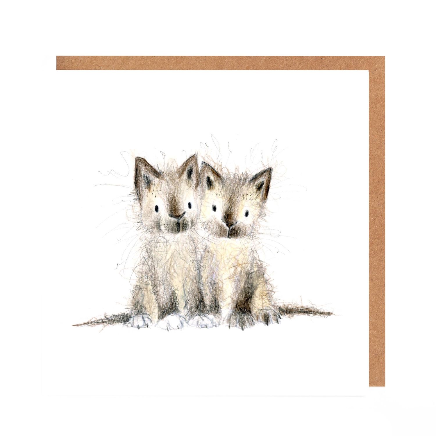 Pair of Kittens card