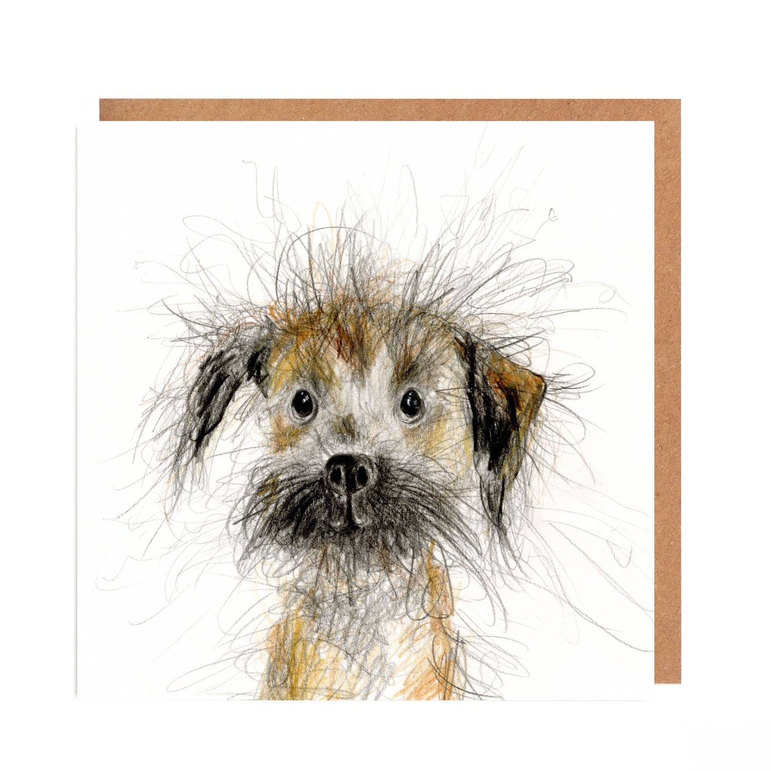 Border Terrier card