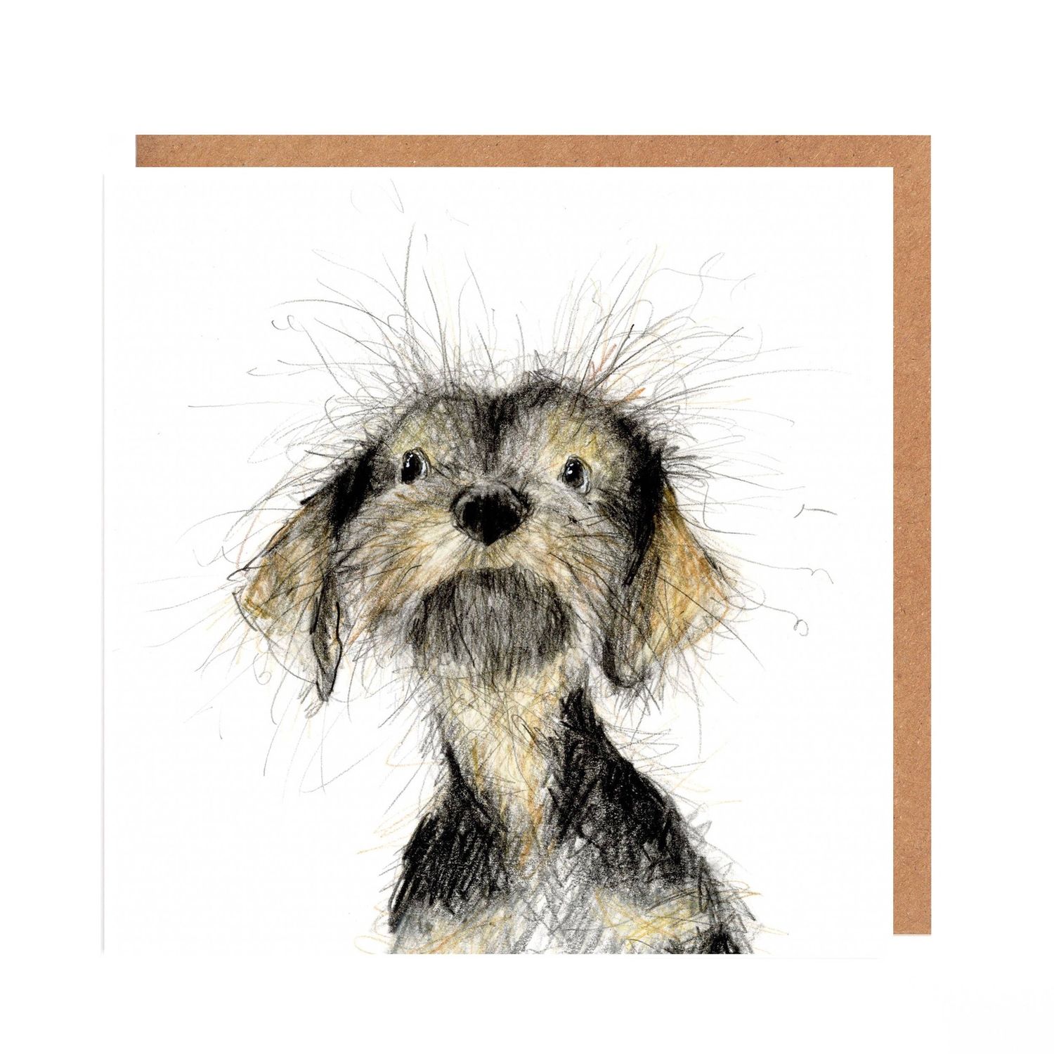 Wire Haired Dachshund Card