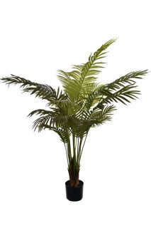 Areca Palm Tree 135 cm