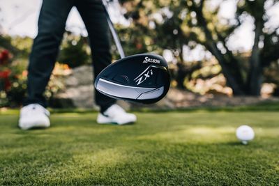 Fairway Woods
