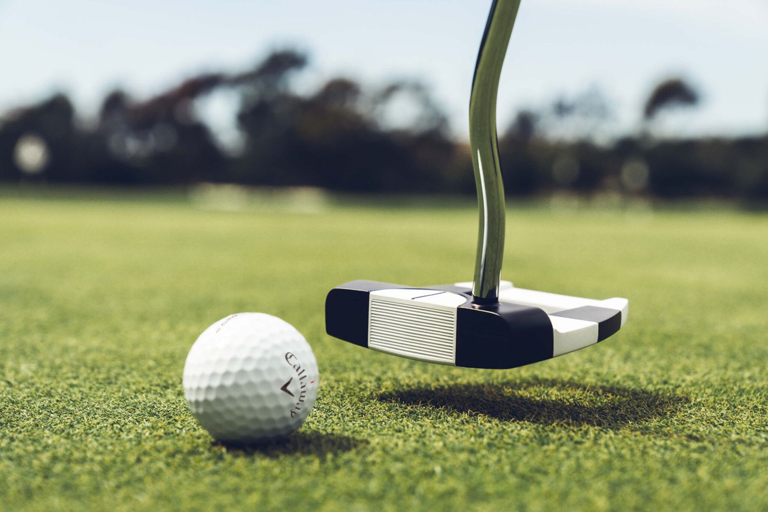 Putters