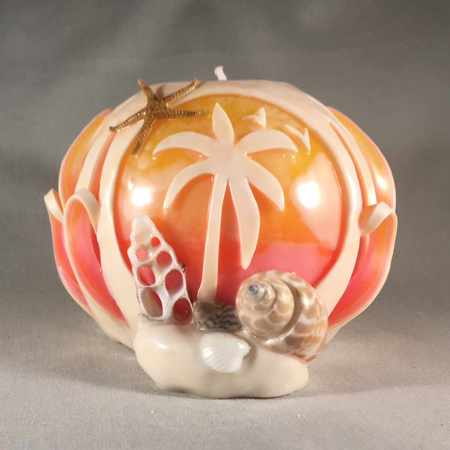 Shell Palm