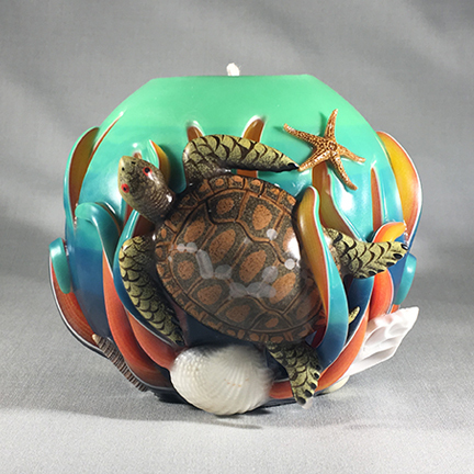 Sea Turtle