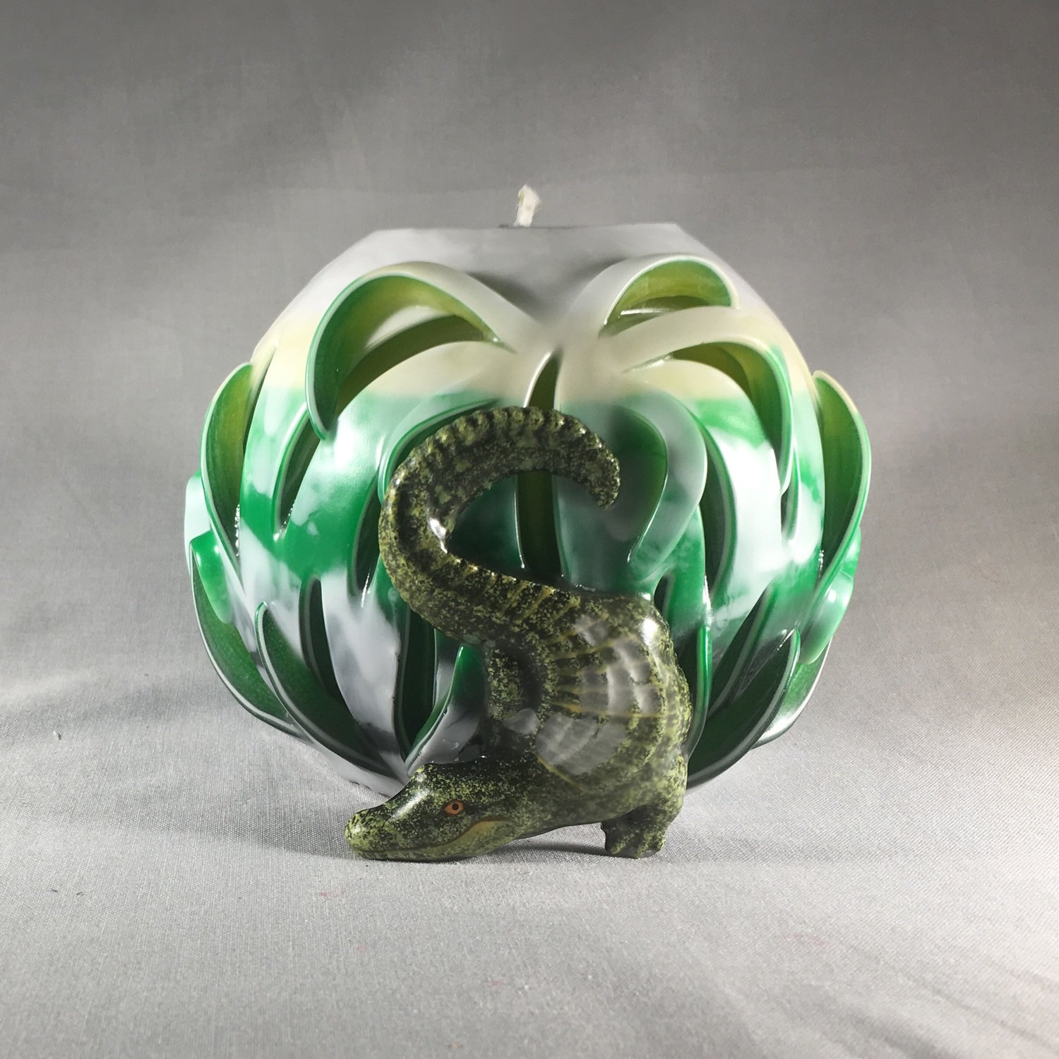Alligator
