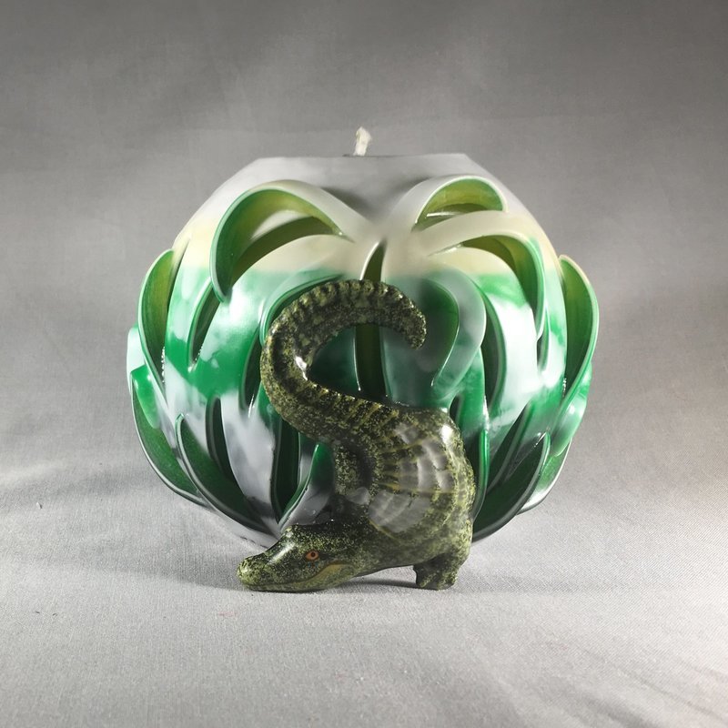 Alligator