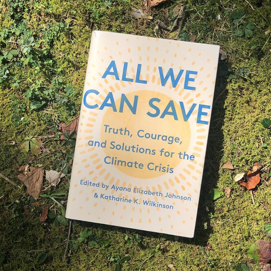 All We Can Save