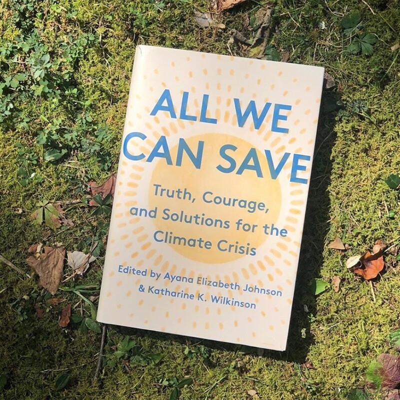 All We Can Save