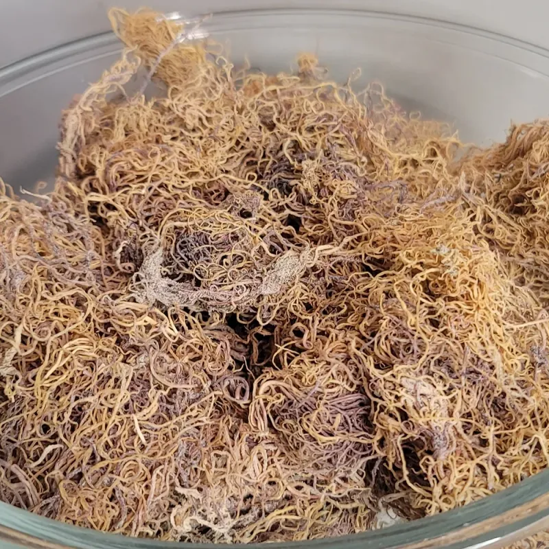Raw Sea Moss (2 oz)