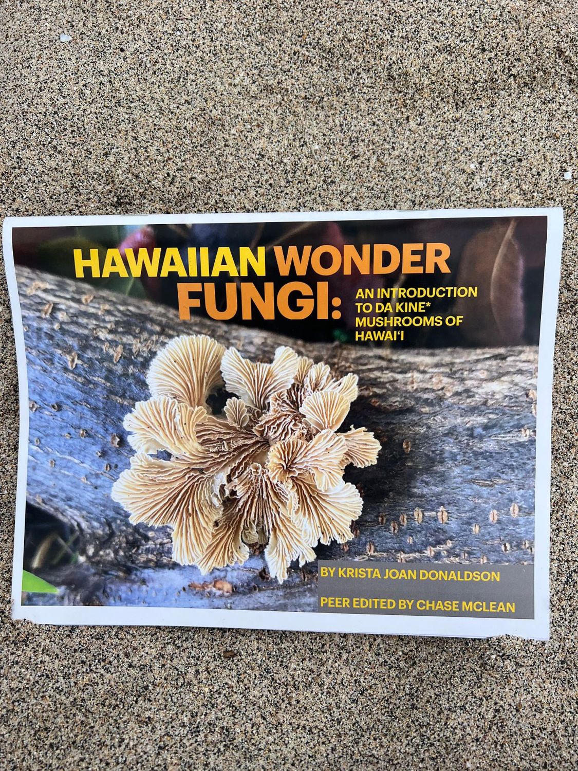 Hawaiian Wonder Fungi: An Introduction to Da Kine Mushrooms