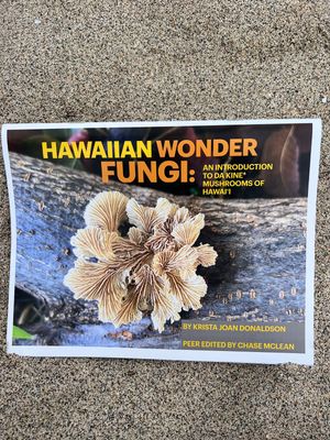 Hawaiian Wonder Fungi: An Introduction to Da Kine Mushrooms
