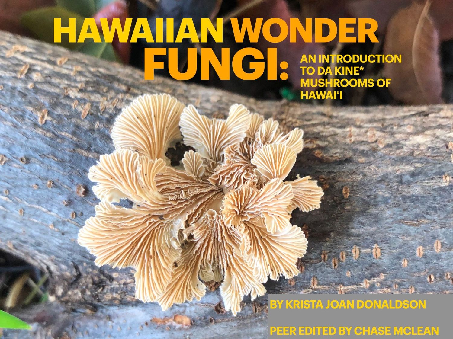 Hawaiian Wonder Fungi: An Introduction to Da Kine Mushrooms - Digital PDF Hawaiian Wonder Fungi: An Introduction to Da Kine Mushrooms - Digital PDF