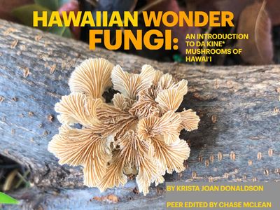 Hawaiian Wonder Fungi: An Introduction to Da Kine Mushrooms - Digital PDF Hawaiian Wonder Fungi: An Introduction to Da Kine Mushrooms - Digital PDF