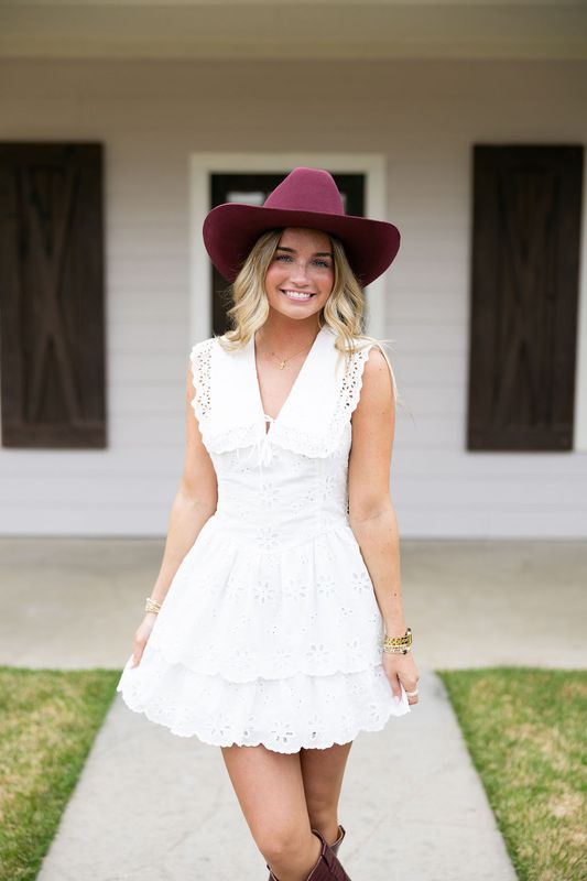 Sleeveless V-Neck Peter Pan Collar Eyelet Mini