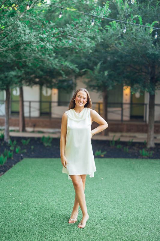 Sheer Draped Neck Scarf Mini Dress