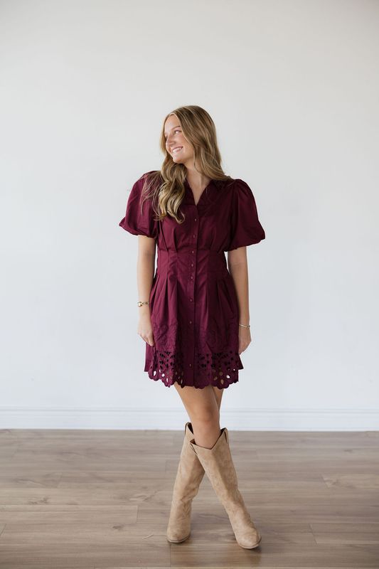 Puff Sleeve Embroidered Detail Mini Dress