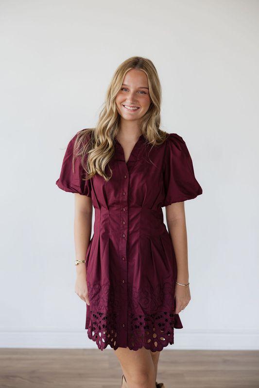 Puff Sleeve Embroidered Detail Mini Dress