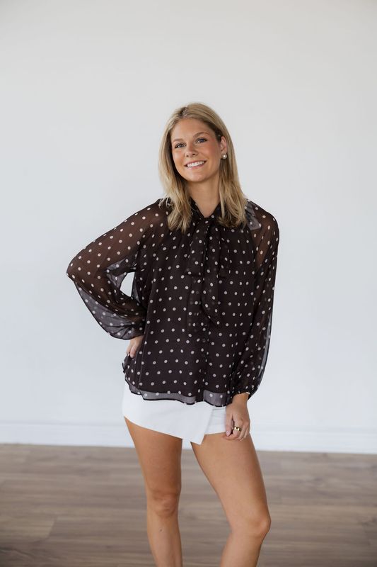 Sheer Polka Dot Tie Neck Long Sleeve Blouse