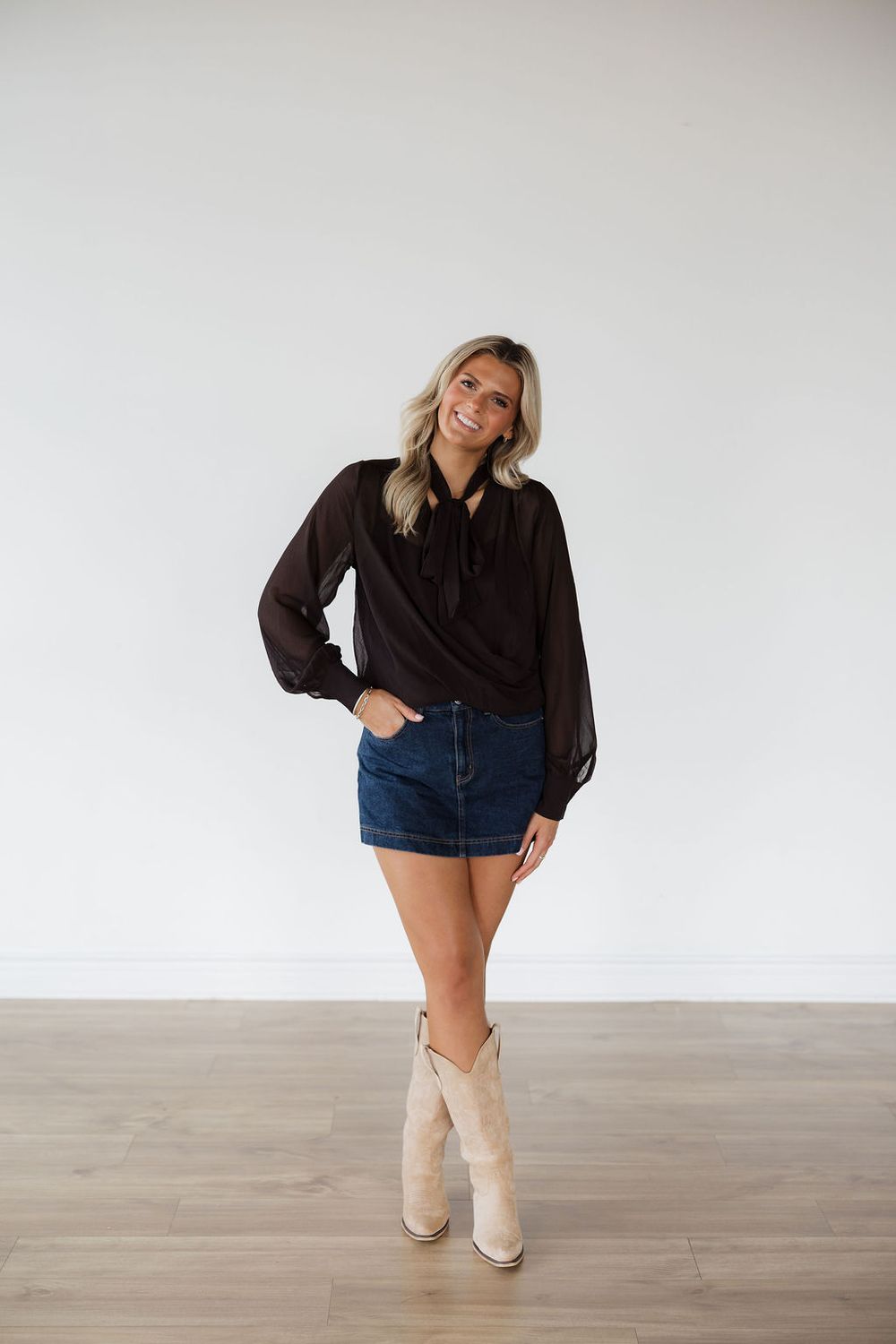 Ascot Neck Sheer Long Sleeve Blouse
