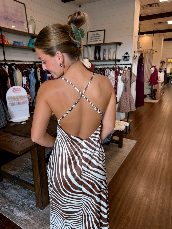 Satin Zebra Plunge Neck Maxi Dress