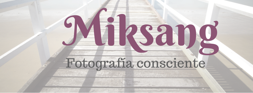 TALLER: Miksang, Fotografía Consciente