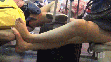 Burmese Feet On Seat