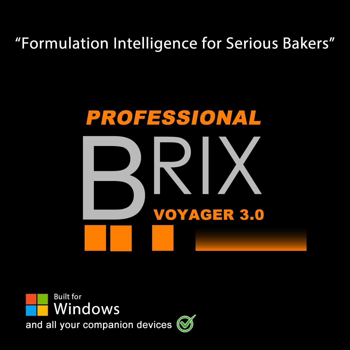 BV Professional