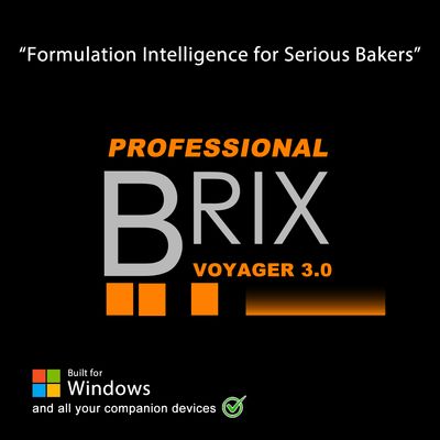 BV Professional