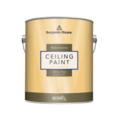 Ceiling Paint