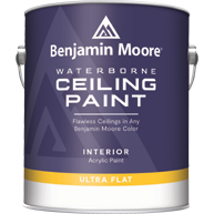 Benjamin Moore Ceiling Paint Mixed Colour 0.94L