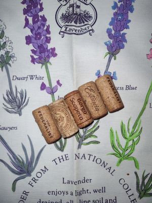 Cork soap saver