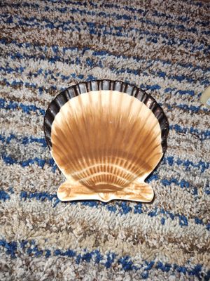 Shell soap dish