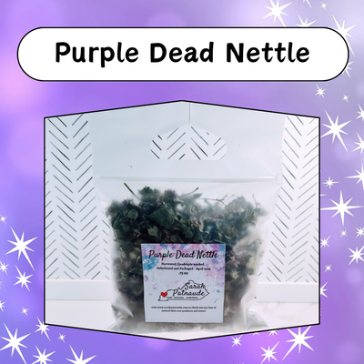 Purple Dead Nettle