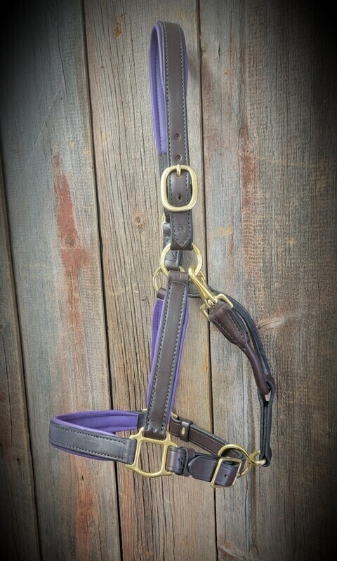 Horse Halter "Bridle leather,soft leather padded Nose x Cheeks..dark finished edges