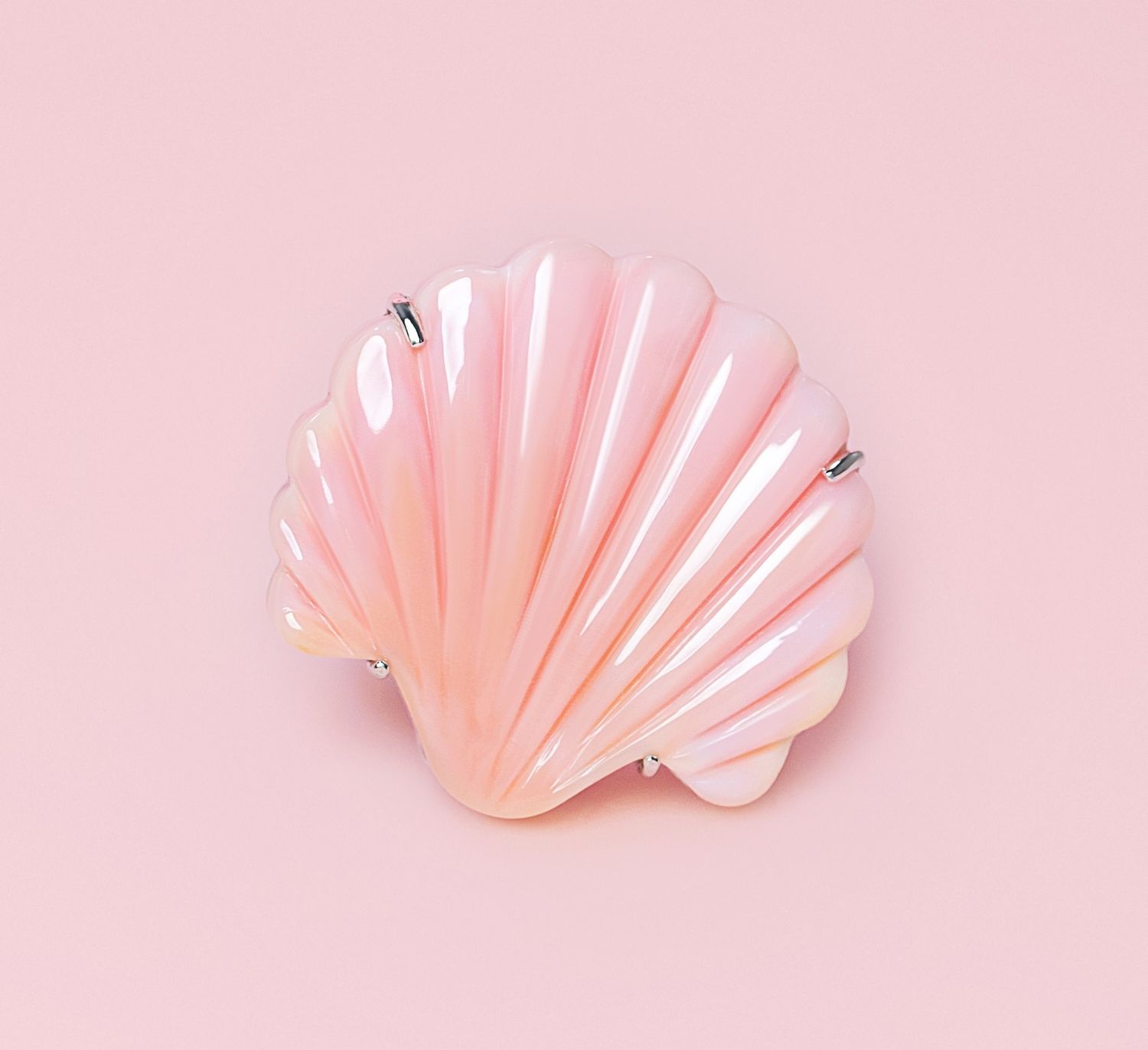 Queen Conch/SS Clam Shell Ring